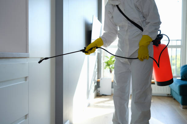 Best Commercial Mold Remediation in Westby, WI